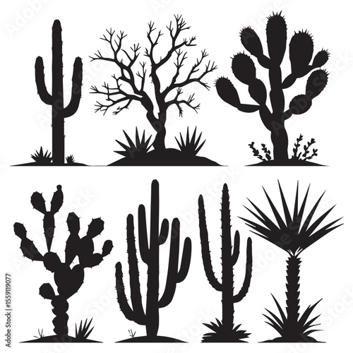 Collection of desert cacti and silhouette plants in black and white