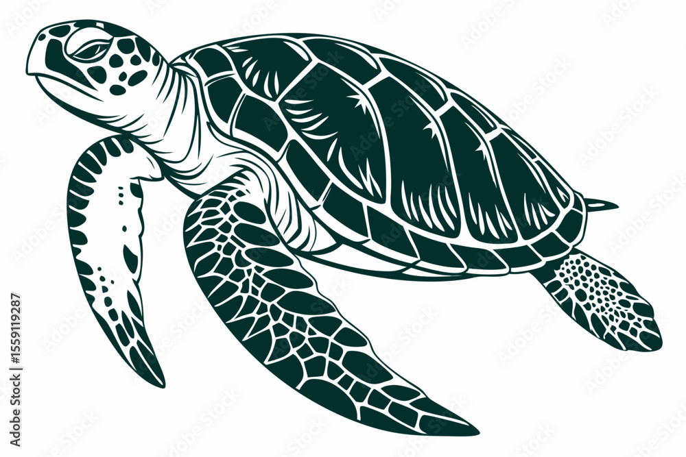 Fototapeta premium green sea turtle sihouette black vector