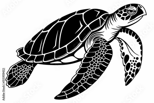 green sea turtle sihouette black vector