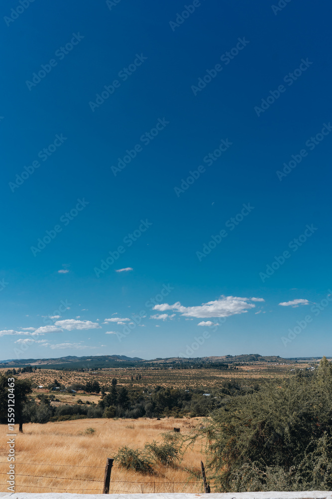 Fototapeta premium Expansive Blue Sky Over Dry Golden Landscape and Rolling Hills