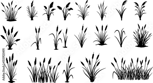 Grass reed icons set. Reed mace icons set showing aquatic grass growing in wetlands, nature plant for decoration
