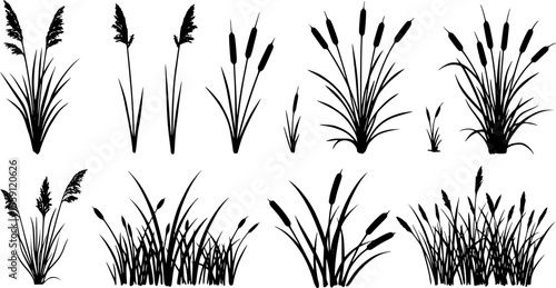 Grass reed icons set. Reed mace icons set showing aquatic grass growing in wetlands, nature plant for decoration
