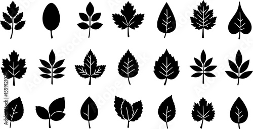 icons set. Different leaf icons representing various tree species, perfect for nature and botany projects
