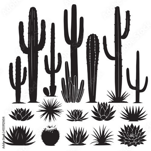 Collection of diverse black silhouette cactus and succulent plants on a white background