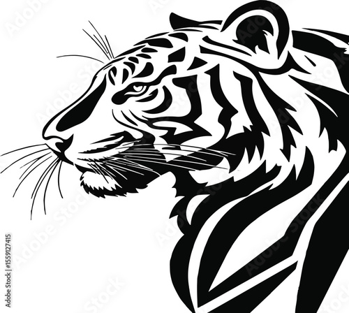 head of a tiger