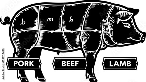 Illustration of a pig with different meat cuts labeled pork beef and lamb in black and white style