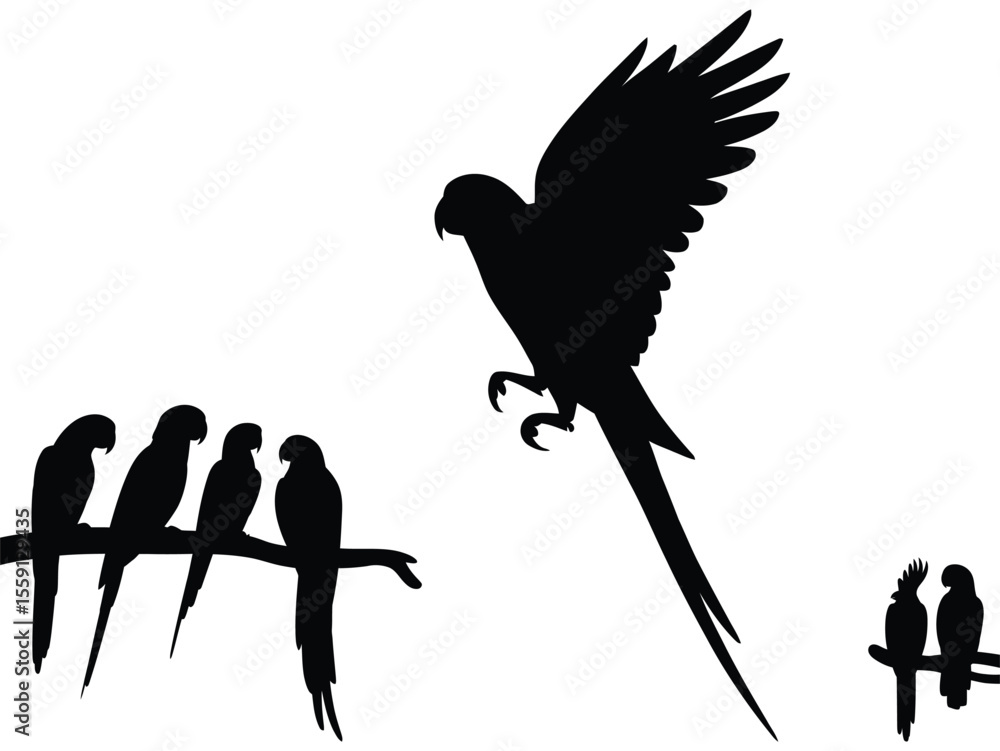 Fototapeta premium Parrot macaw silhouette vector set