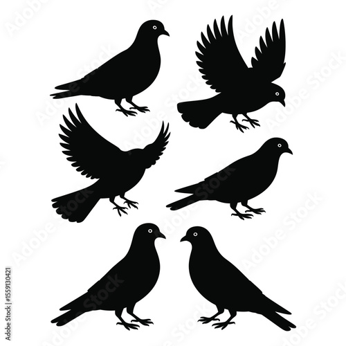  Urban flock silhouettes of pigeons and sparrows for city-themed vector design