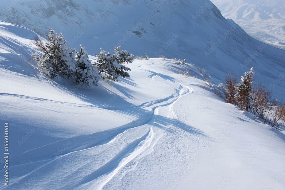 Obraz premium Snowy Mountain Ski Slope with Trees