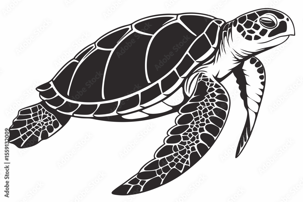 Fototapeta premium loggerhead turtle sihouette black vector