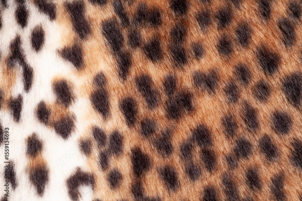 Leopard fur texture background close up Leopard fur texture background close up