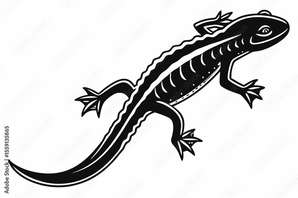 Obraz premium newt sihouette black vector