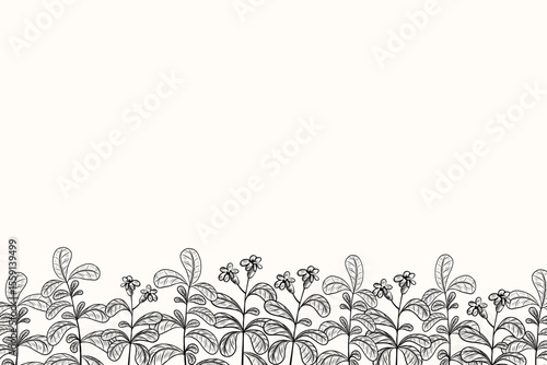 Herbal botanical banner with Stevia plant for text. Background sketch with engraved sweet branches sugar substitute. Design for label, card, logo, sign. Hand drawn Honey grass against diabetes, food
