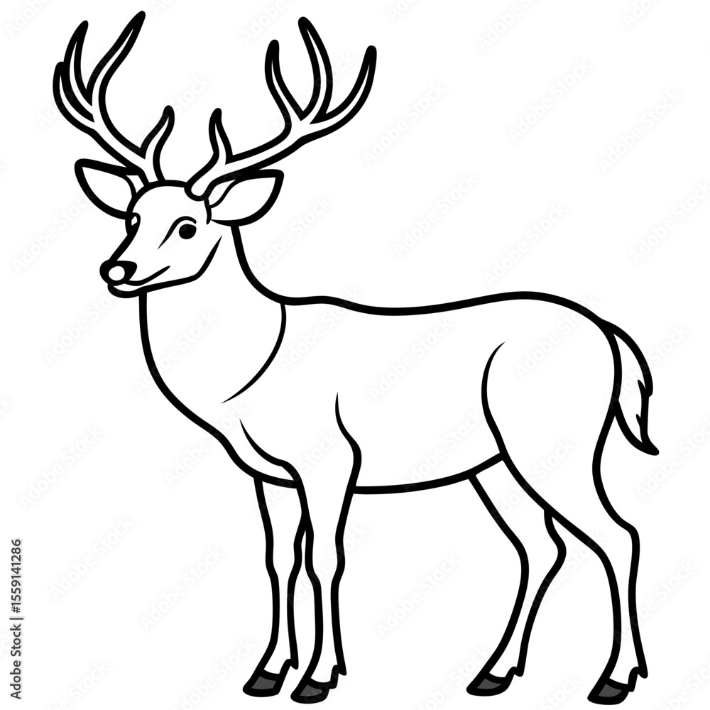 Elegant Wapiti and Vole Line Art Design Elegant Wapiti and Vole Line Art Design
