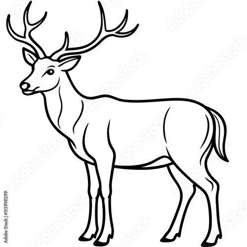 Elegant Wapiti and Vole Line Art Design