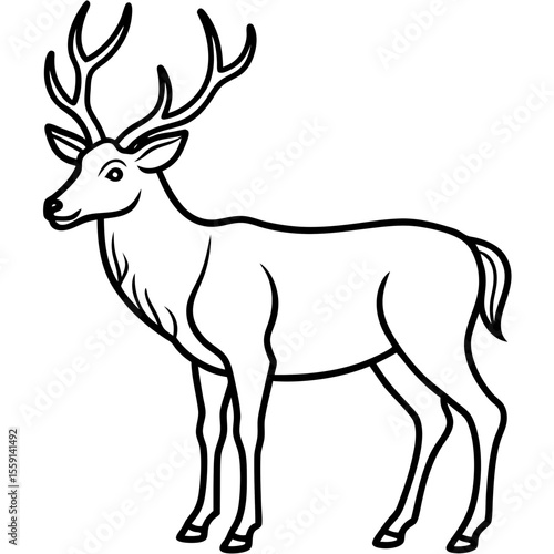Elegant Wapiti and Vole Line Art Design