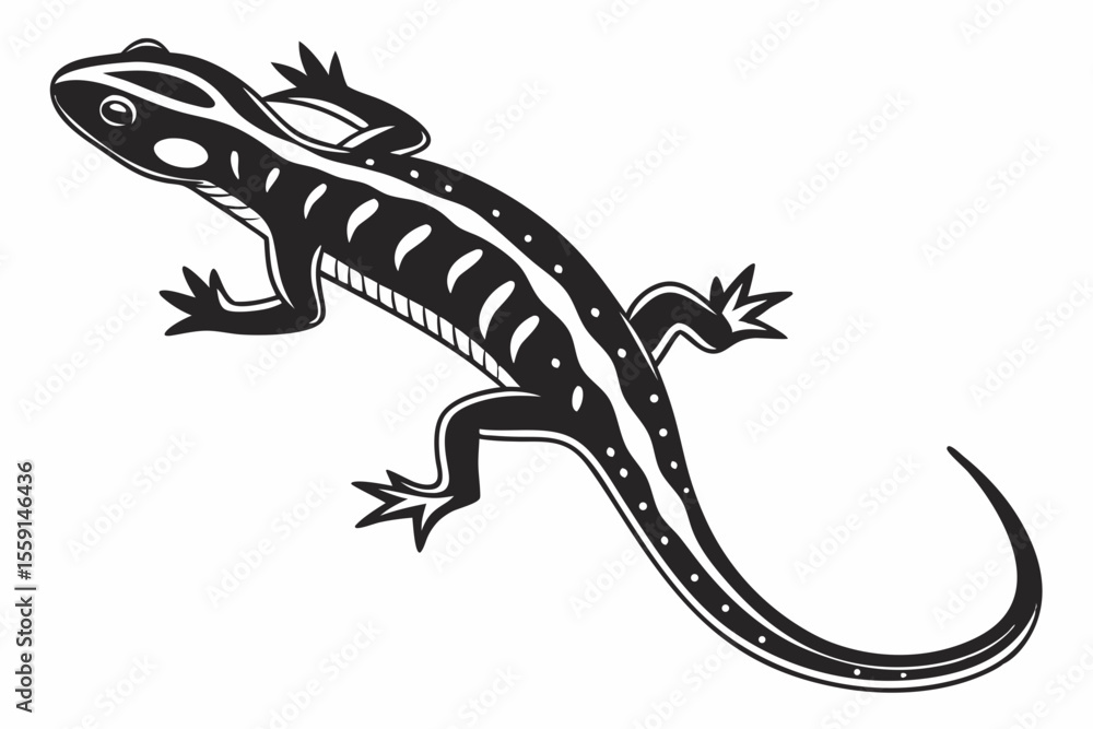Naklejka premium salamander sihouette black vector