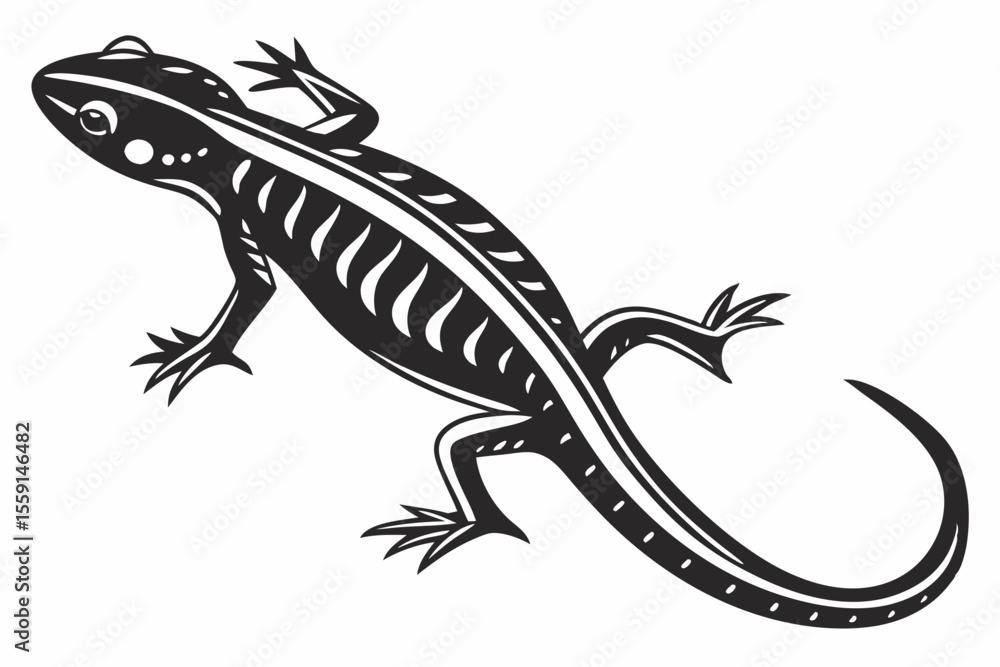 Fototapeta premium salamander sihouette black vector