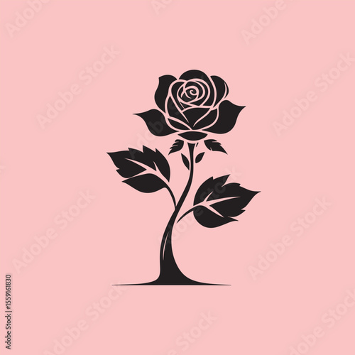 Rose flower vector illustration