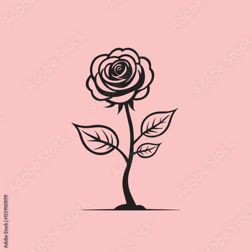 Rose flower vector illustration