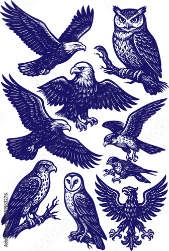 Set of predatory birds in vintage engraved illustration style