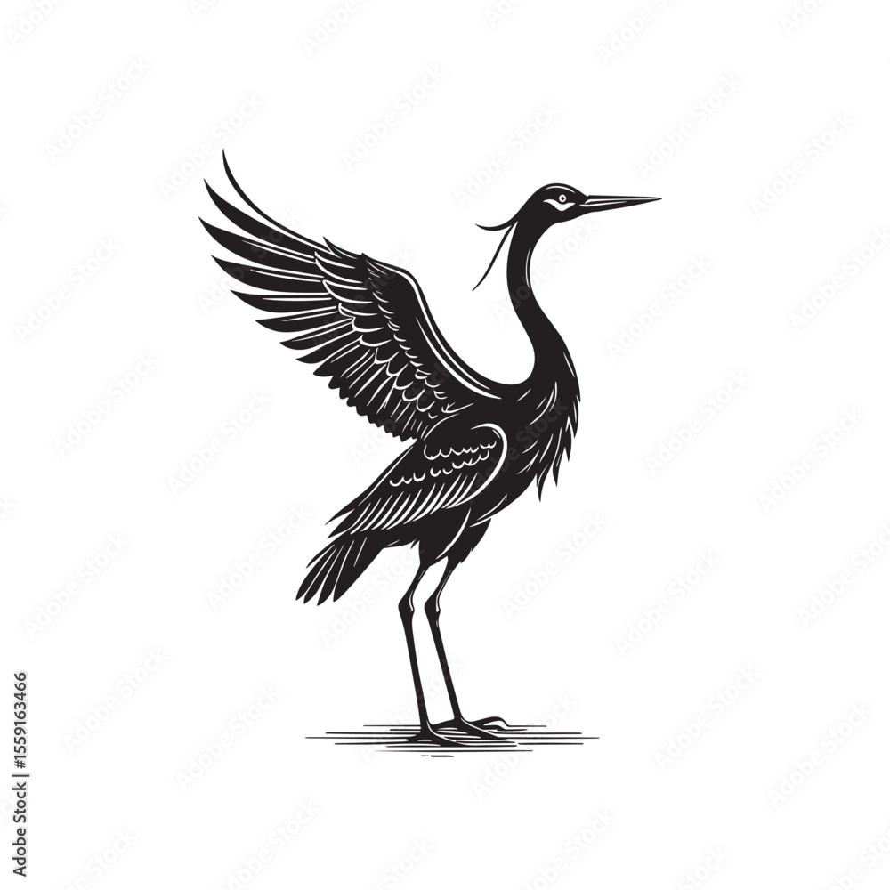 Fototapeta premium Exotic crane or heron bird 