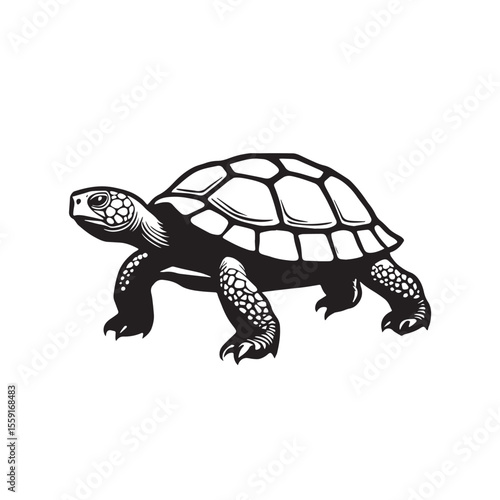 Sea turtle or tortoise silhouette isolated on white background