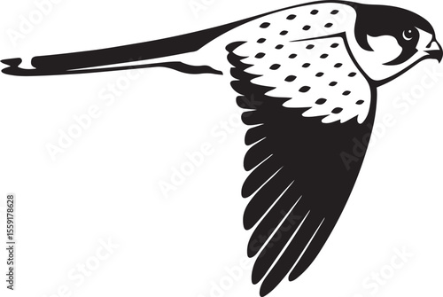 Falcon flying illustration black and white vector, Sleek raptor bird in motion artwork