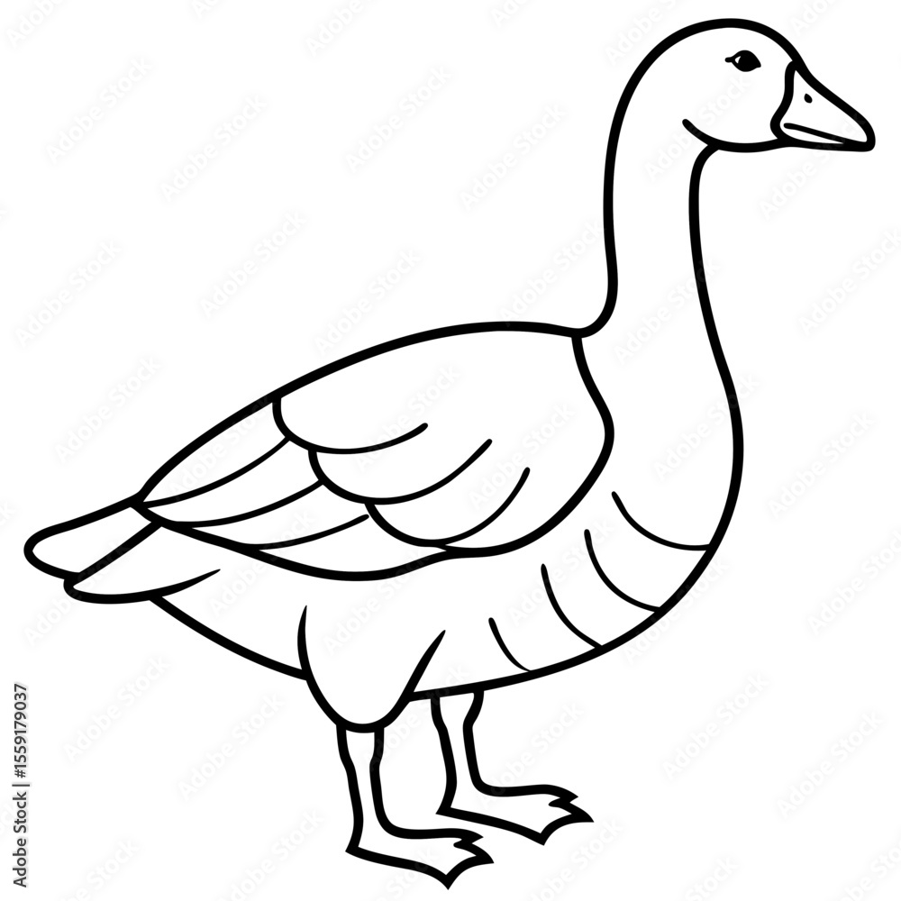 Fototapeta premium Goose Line Art Illustration