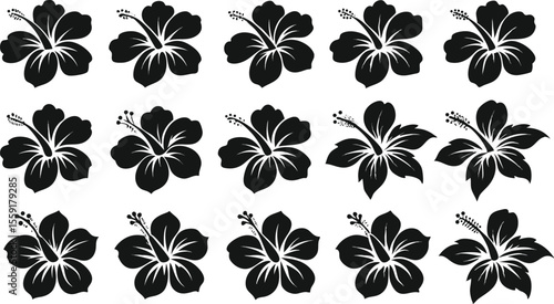 Black and white vector illustration of multiple hibiscus flower silhouettes on white background