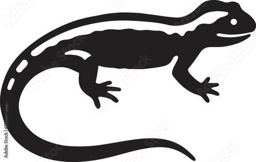Amphibian artwork black and white salamander, Nature inspired reptile vector art
