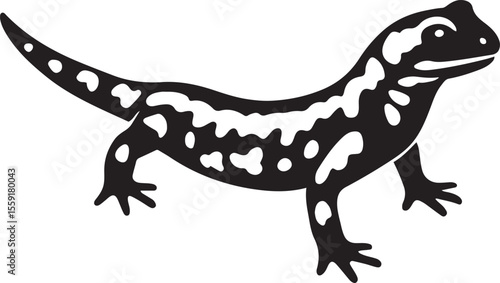 Simple salamander artwork in black and white, Clean vector reptile drawing for posters
