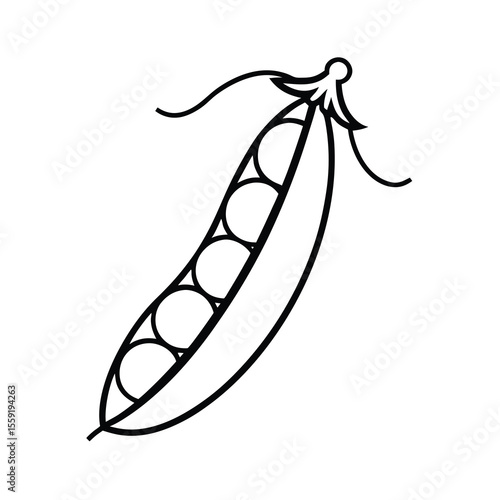green peas line drawing illustration