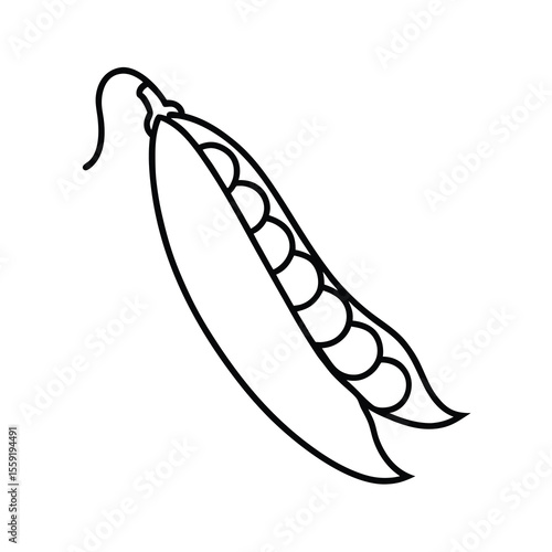 green peas line drawing illustration