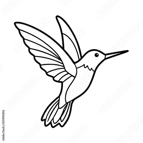 hummingbird flying drinking nectar outline art