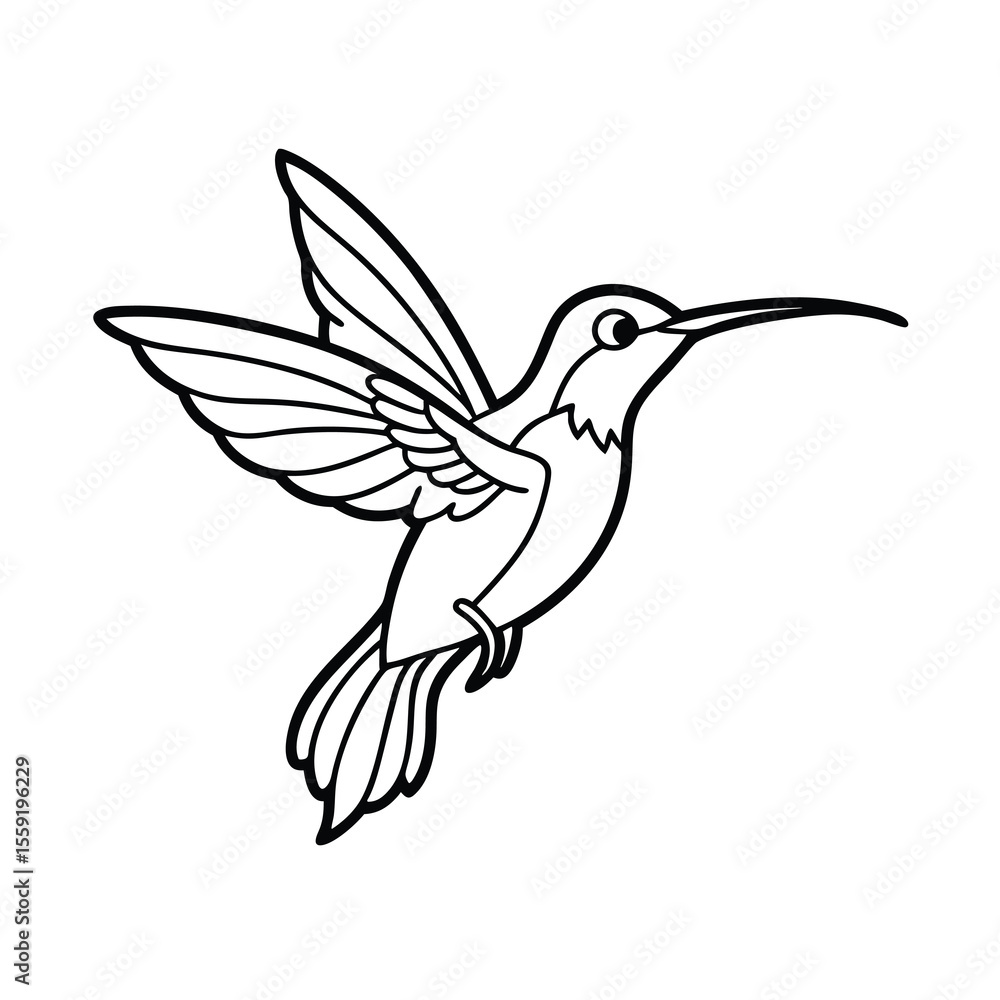 Obraz premium hummingbird in flight