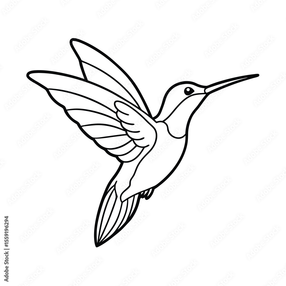 Obraz premium hummingbird vector illustration
