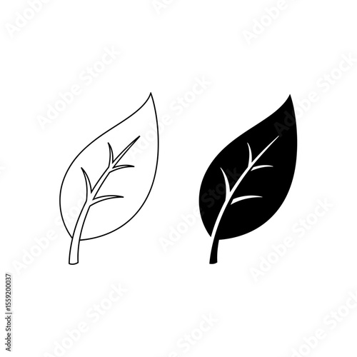 Two leaves one in outline and one in solid black on a white background in a vector graphic