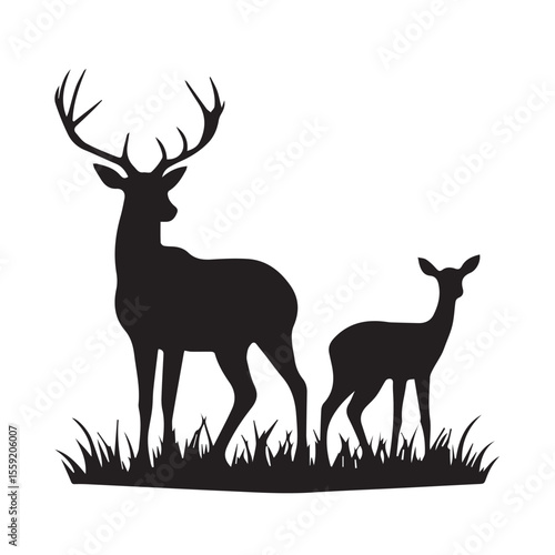Majestic stag and fawn silhouette standing in grass on white background