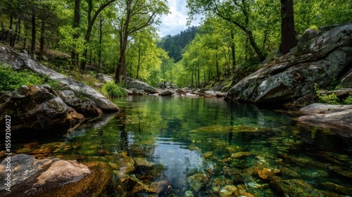 A beautiful, serene river with a lush green forest surrounding it. The water is crystal clear and the rocks on the riverbed are smooth and rounded. The scene is peaceful and calming