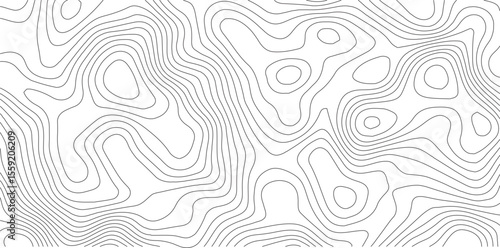 Topographic gradient line map. Abstract circle lines background. Abstract blank detailed topographic contour map. Background of the topographic map. Line topography map contour background.
