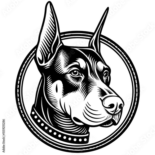 Elegant black and white doberman pinscher head portrait in a decorative circular frame design
