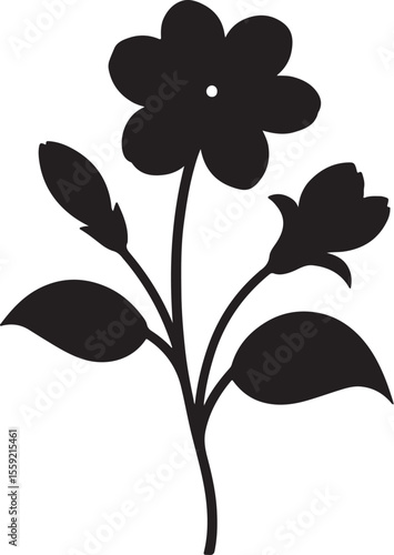 belly flower বেলি ফুল