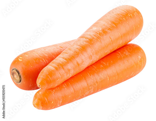 Three fresh carrots isolated on transparent background