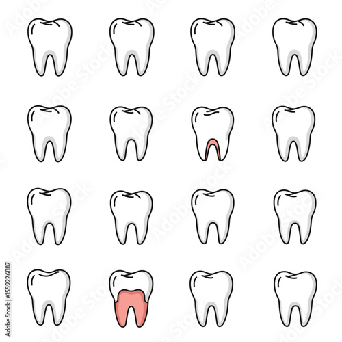 Dental Health Understanding Tooth Decay and Prevention