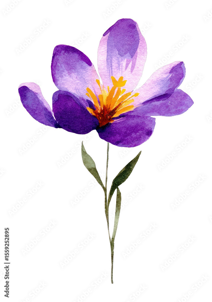 Fototapeta premium PNG A purple and gold wildflower illustration watercolor petals.