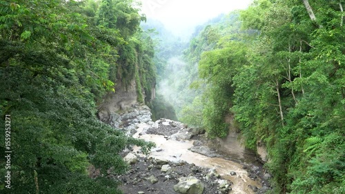 Waterfall in the middle of a lush green forest