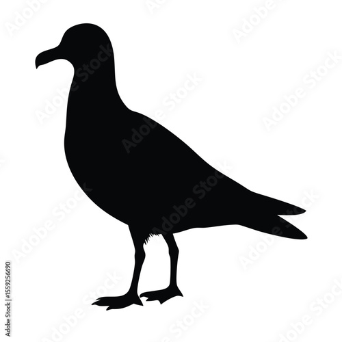Seagull silhouette vector black animal on white background