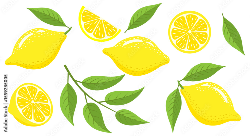 Fresh lemons with leaves set. Ripe lemon slices and whole lemon isolated on white background. Vector illustration. Fresh lemons with leaves set. Ripe lemon slices and whole lemon isolated on white background. Vector illustration.
