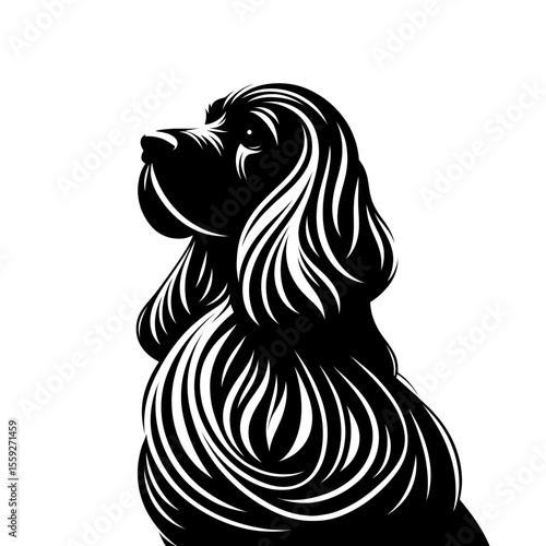 Vector illustration of cocker spaniel in black strokes and lines. Family pet, love and care for animals, adoption fair. Types of breeds, decoration for grooming salon or vet clinic